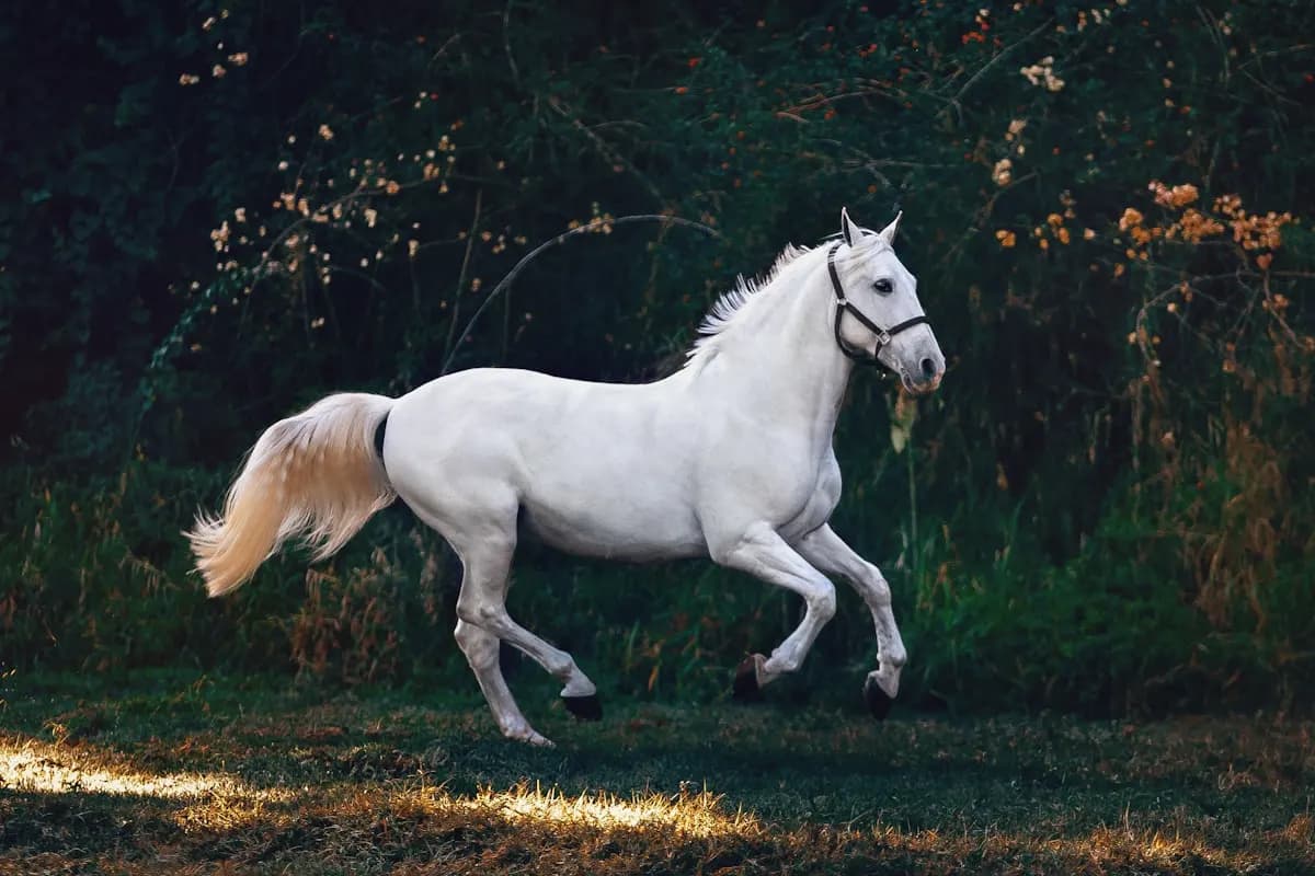 Horse in a stable representing Ghislaine Maxwell equestrian connections